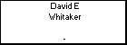 David E Whitaker